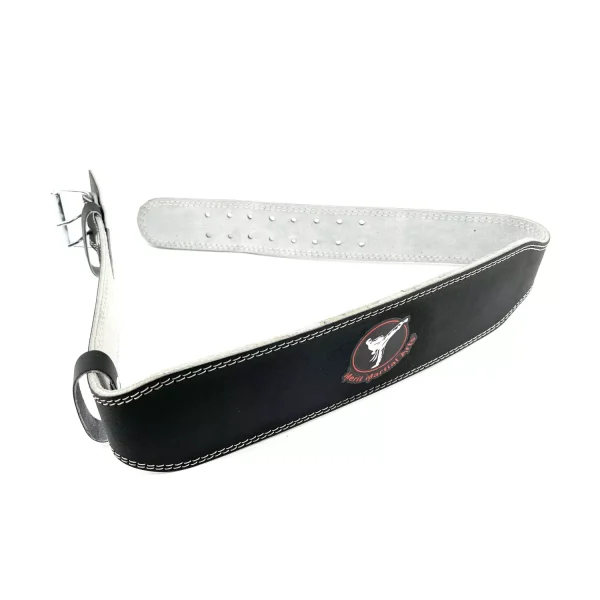 Weight Lifting Belt