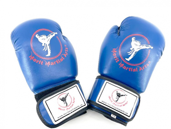Boxing Gloves Blue 1