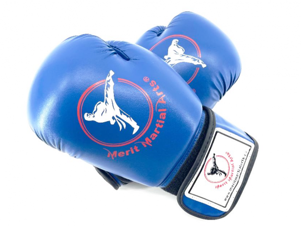 Boxing Gloves Blue - Image 2